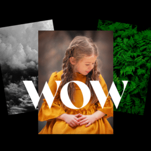 Elementor Wow Animation