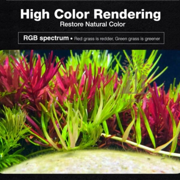 Neo Helios XP-800 WRGB Planted Aquarium Light - Image 3